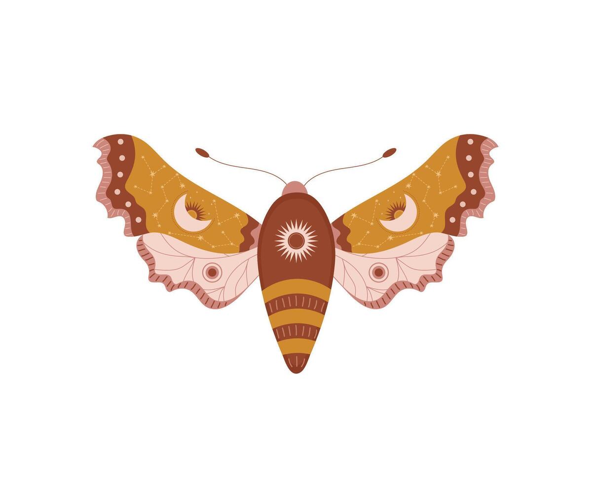Boho butterfly. Insect with celestial elements. Witch and magic symbol. hand drawn moth. illustration in bohemian style vector
