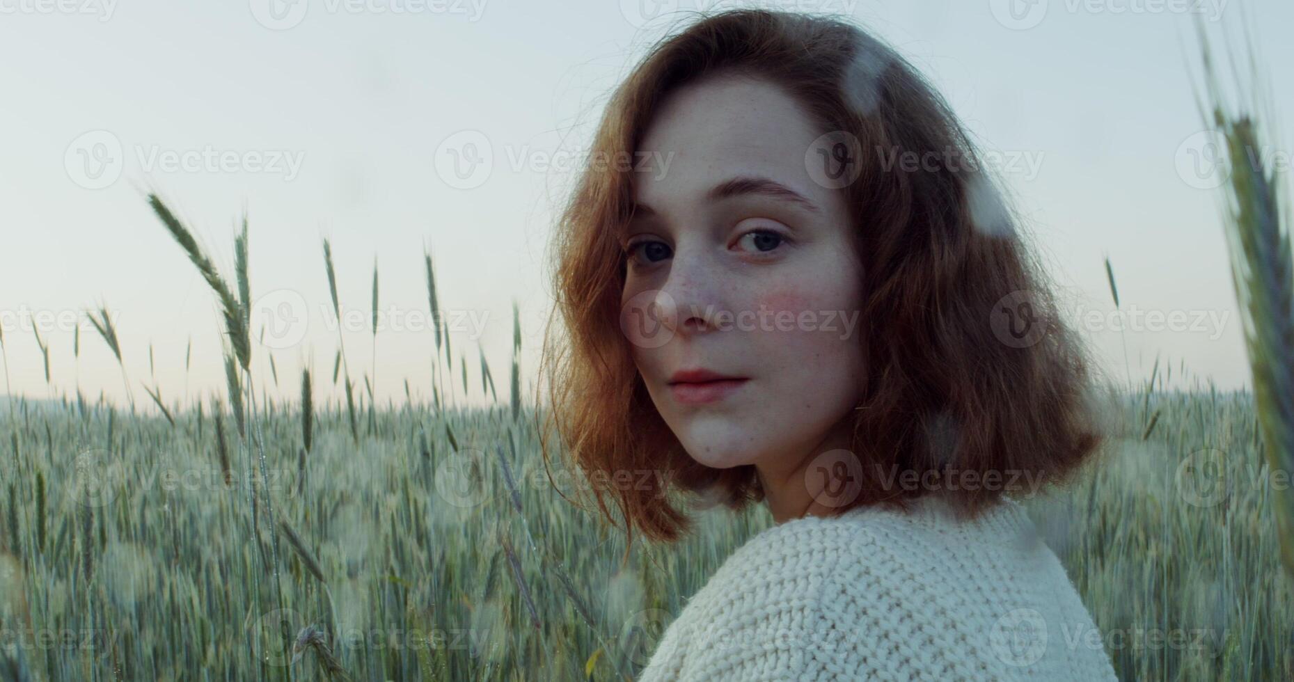 A young red haired woman of Caucasian appearance turns her head and looks directly into the camera with a slight smile while standing among tall ears in a wheat field, close up. 4k , red komodo photo