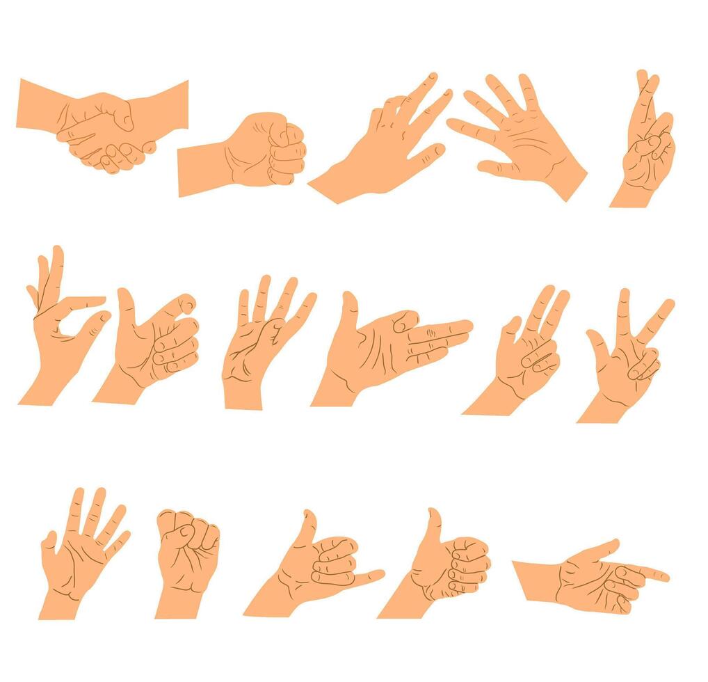 Different hand gestures isolated on white background. flat illustration of female hands in various situations vector