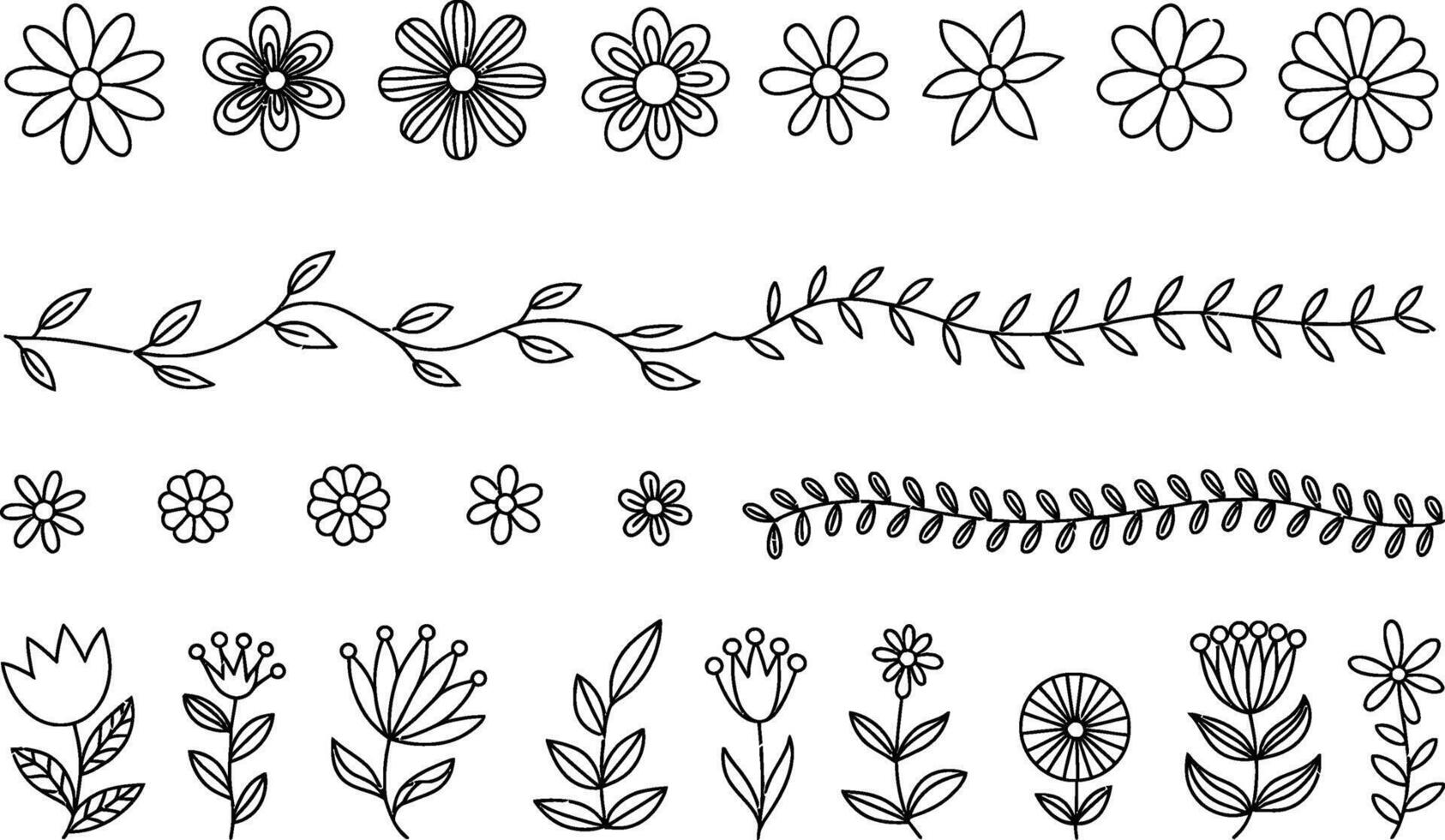 Hand drawn floral design elements flowers leaves and botanical illustrations vector