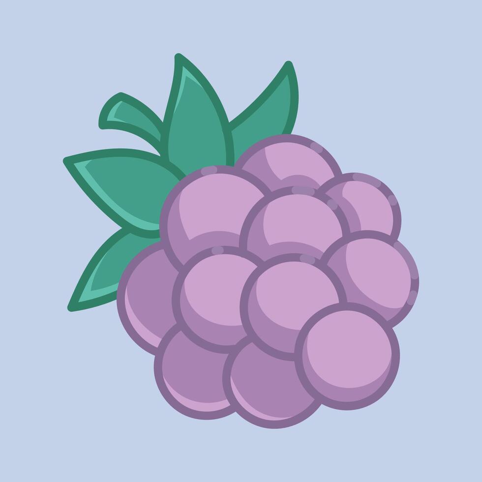 a grape fruit with outline in isolated background vector