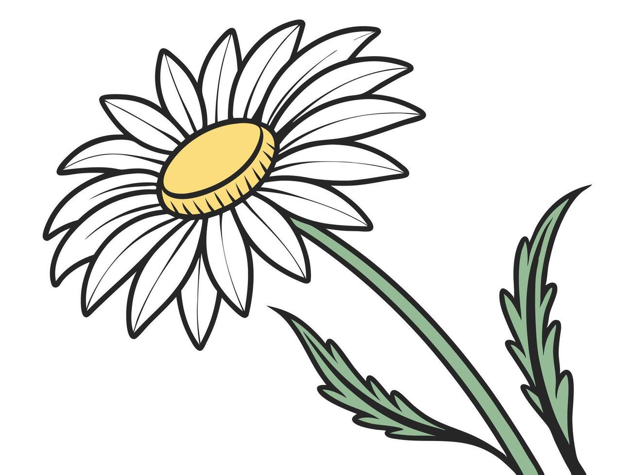 Detailed illustration of a cheerful daisy flower with bright white petals and a yellow center. vector