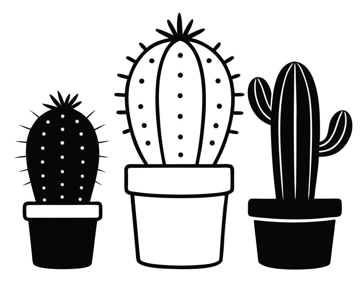 Three black and white cactus plants in pots illustrating desert succulents graphics vector