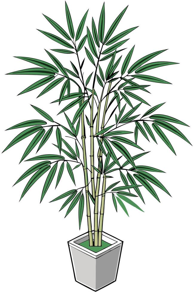 Isolated illustration of a bamboo plant with green leaves in a modern pot vector