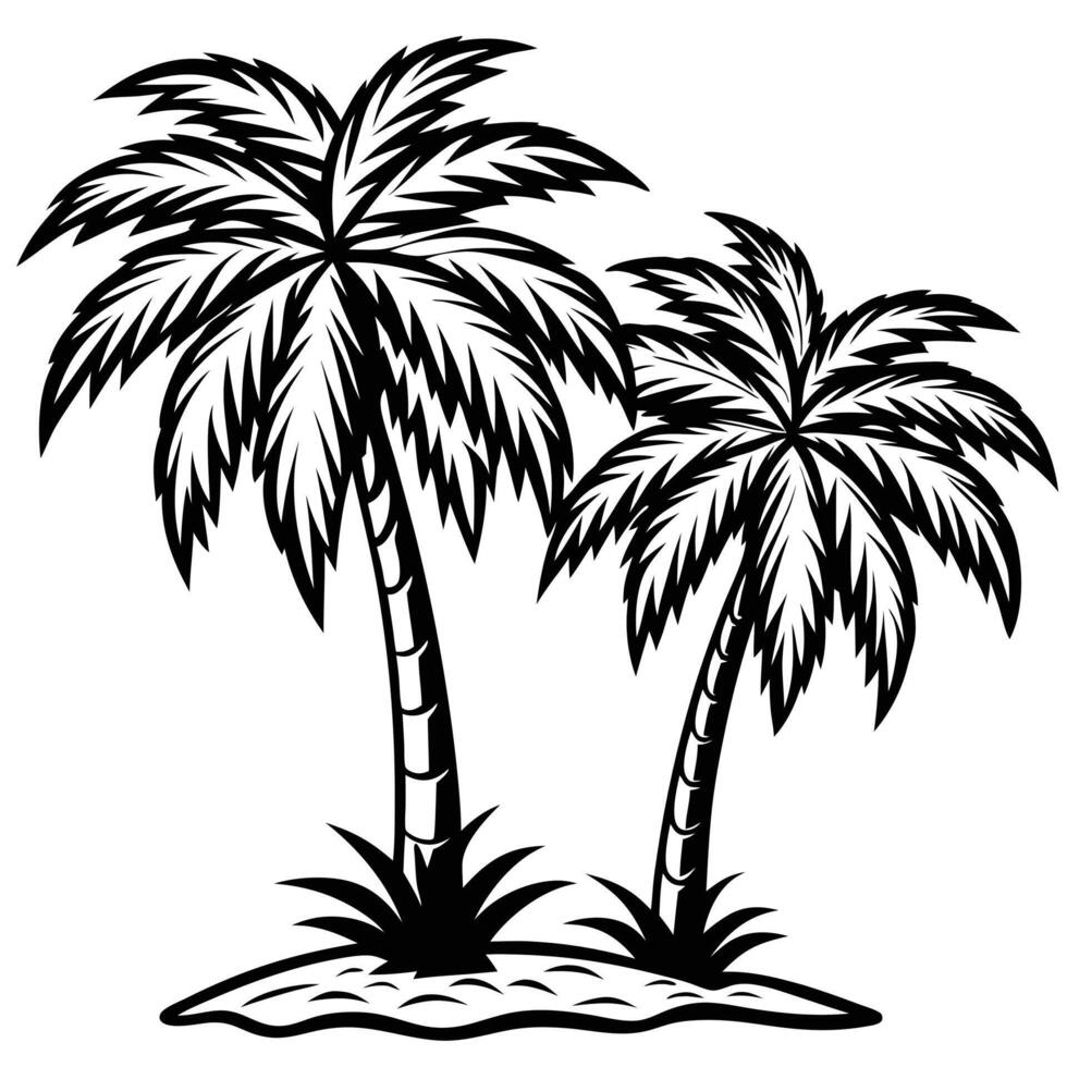 illustration of two detailed black and white palm trees growing on a tropical island. vector