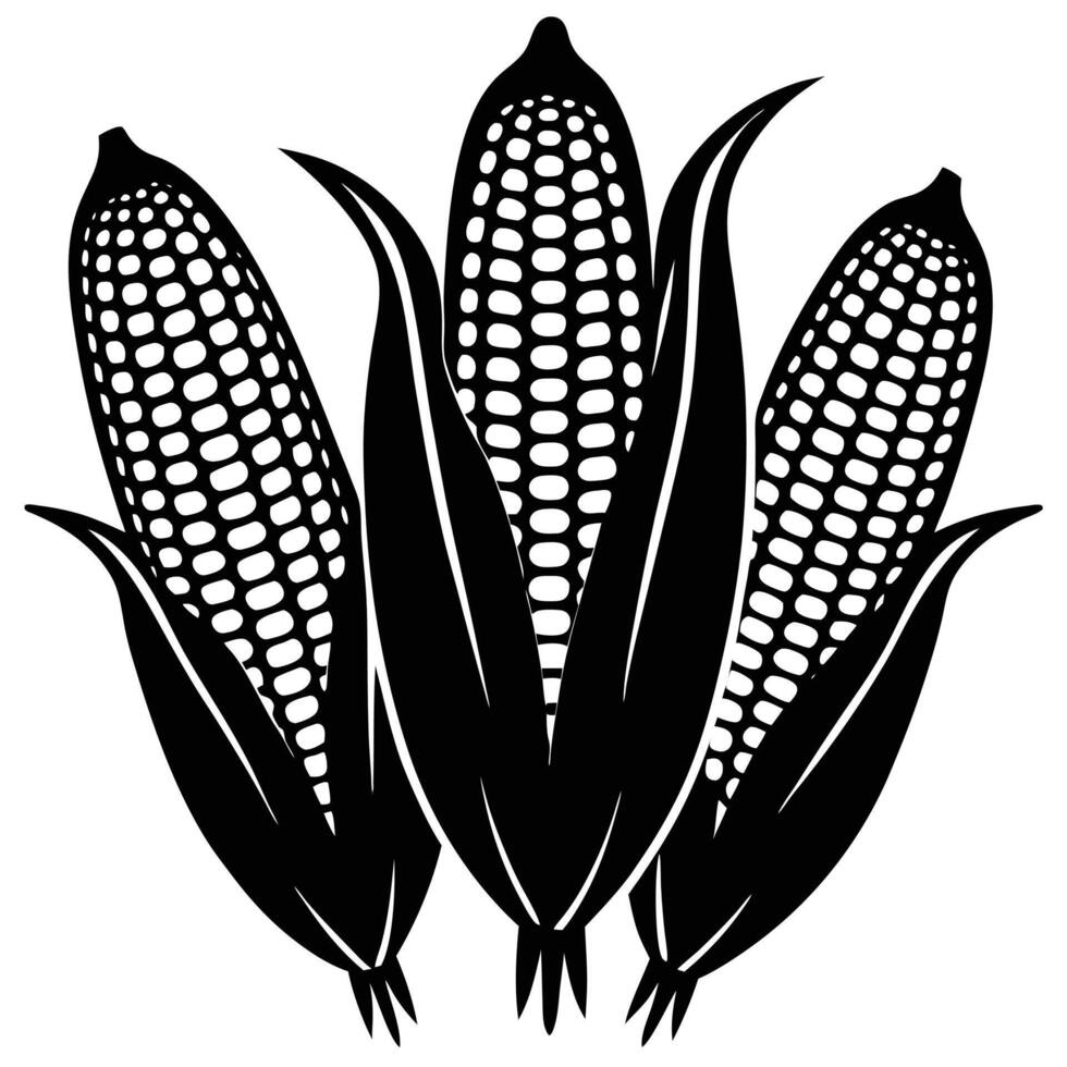 Black and white illustration of three corn cobs with detailed and intricate design vector