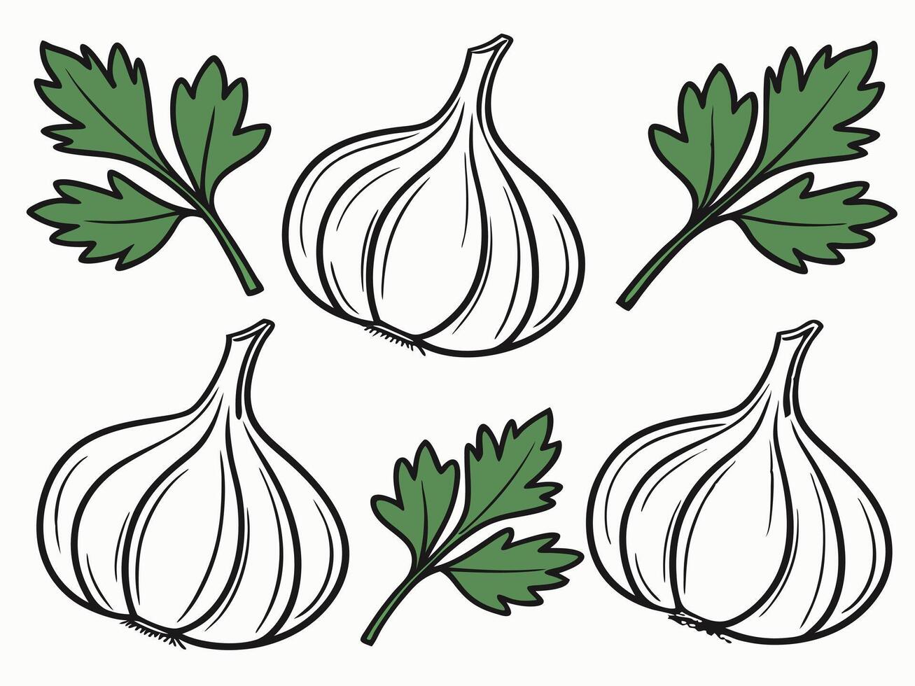 An illustration of fresh garlic cloves and green parsley leaves arranged against a white backdrop vector