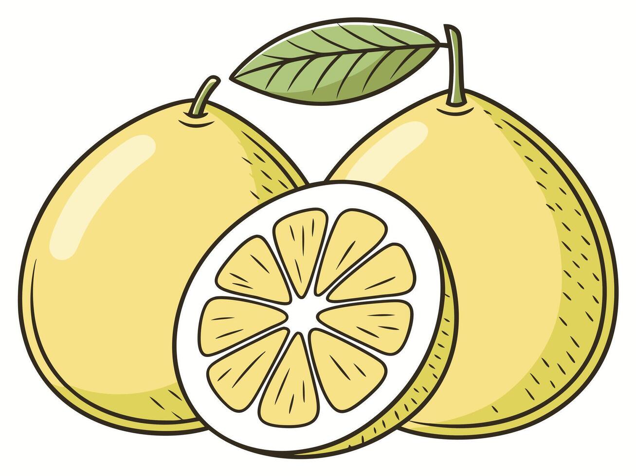 Colorful hand drawn illustration of fresh lemons with leaves and a sliced segment on white background vector