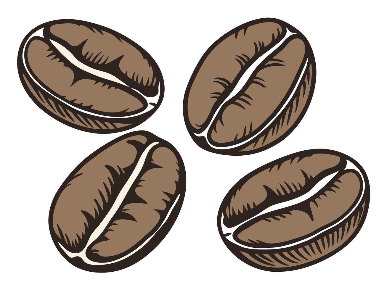 Four brown coffee beans isolated on white background illustration representing caffeine and deliciousness vector