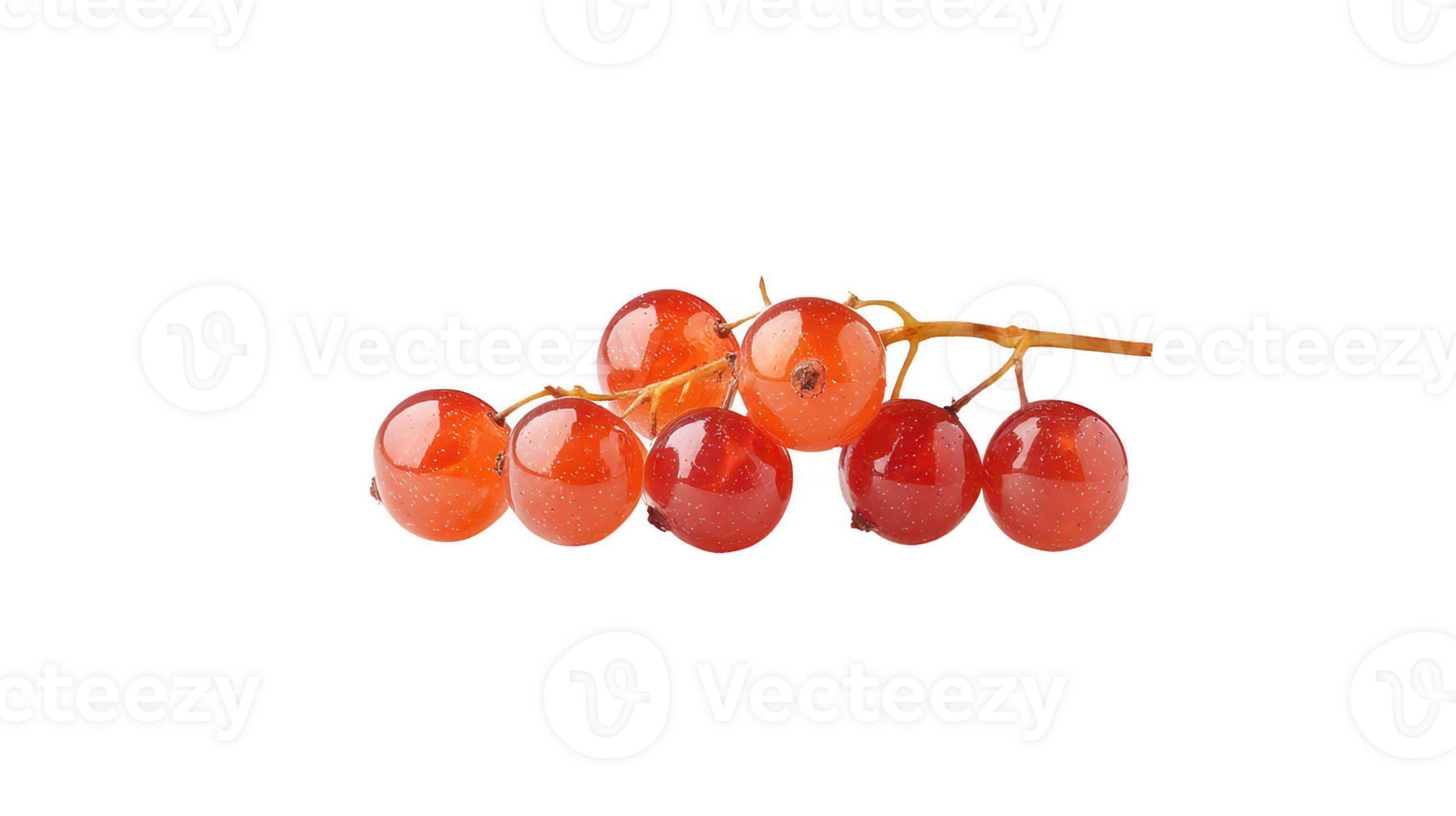 Vibrant Red Currants with Water Droplets on Transparent Background png
