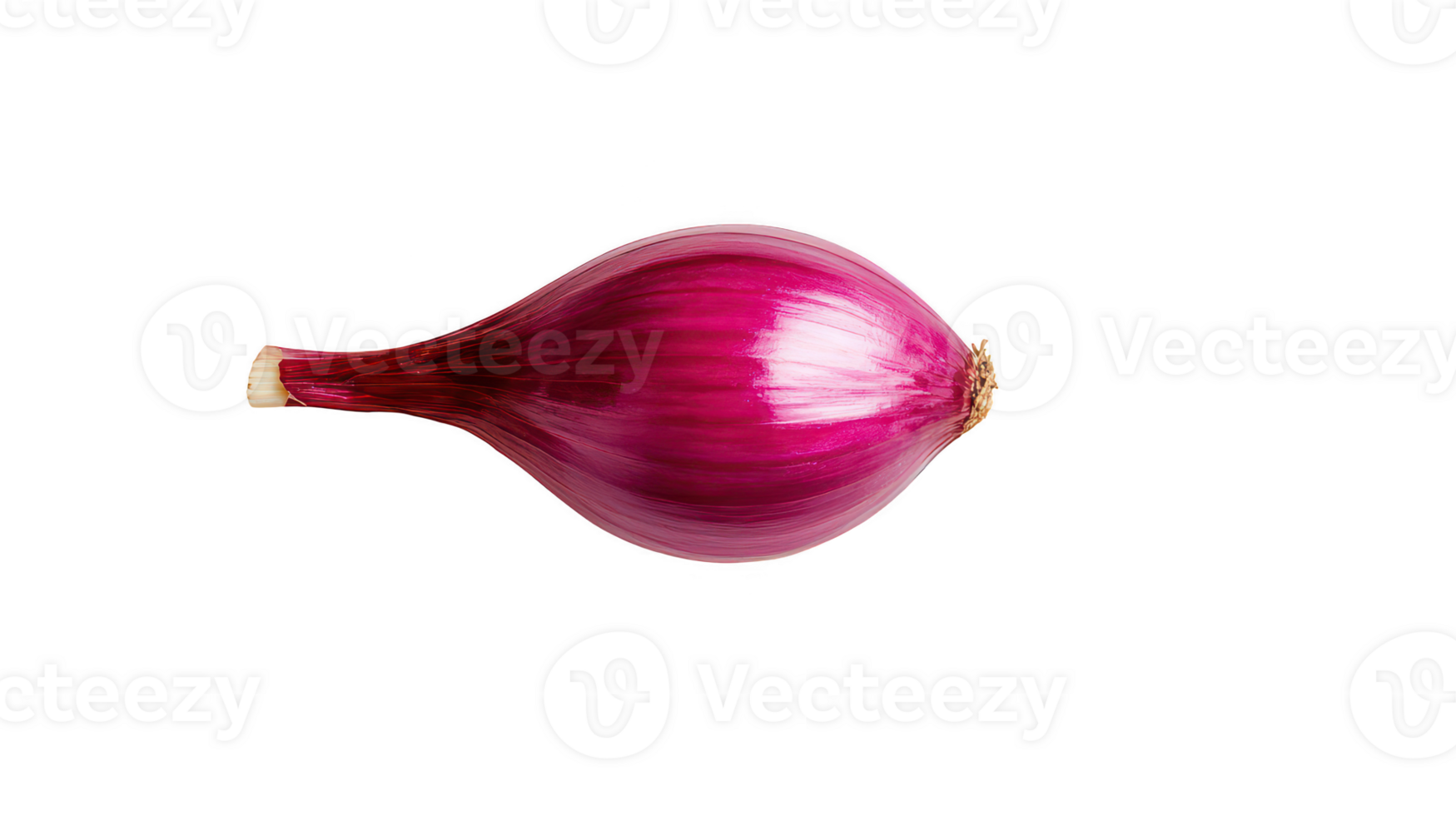 Single Red Onion on Transparent Background Studio Shot png