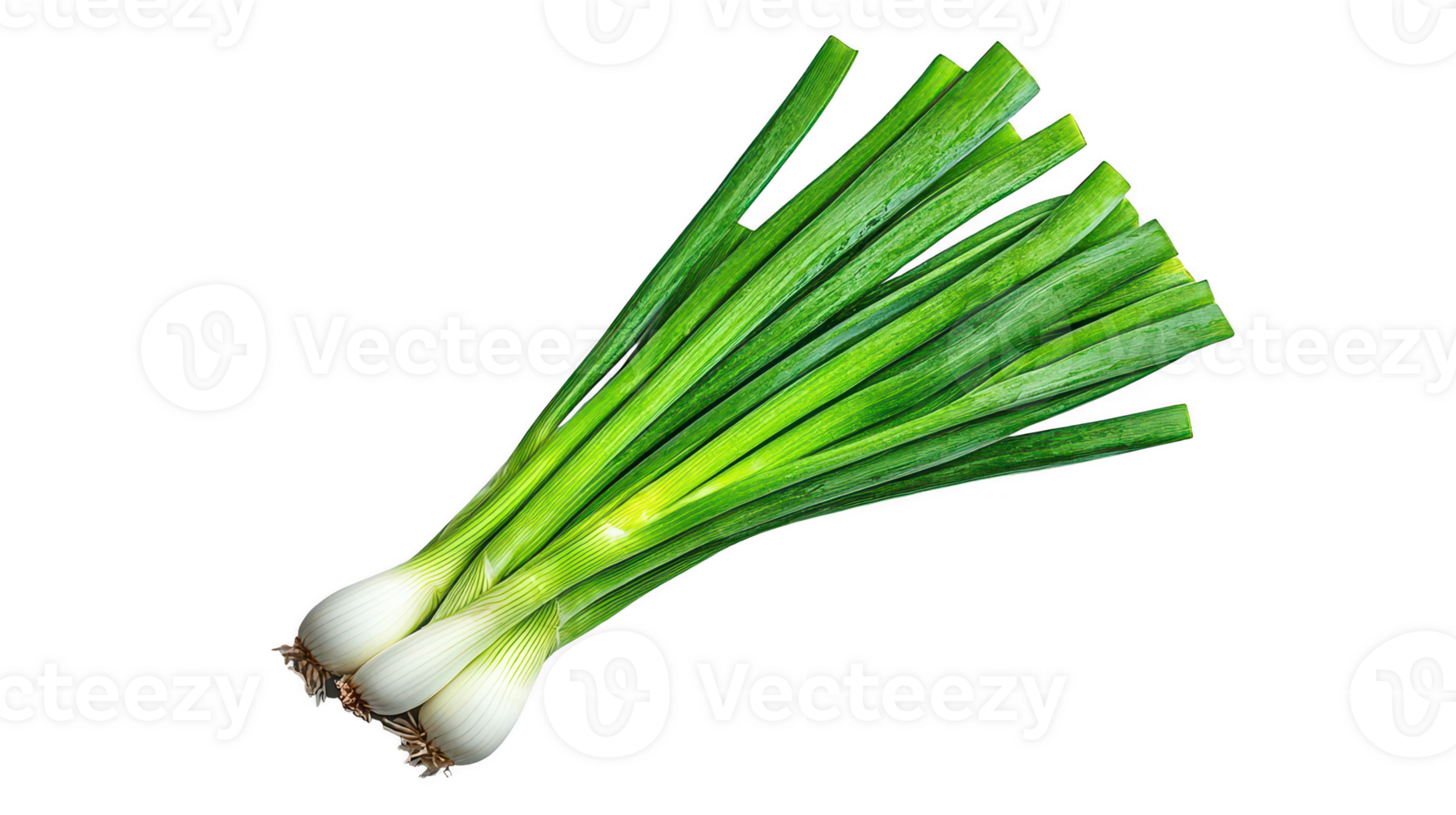 Fresh Green Scallions on Transparent Background png
