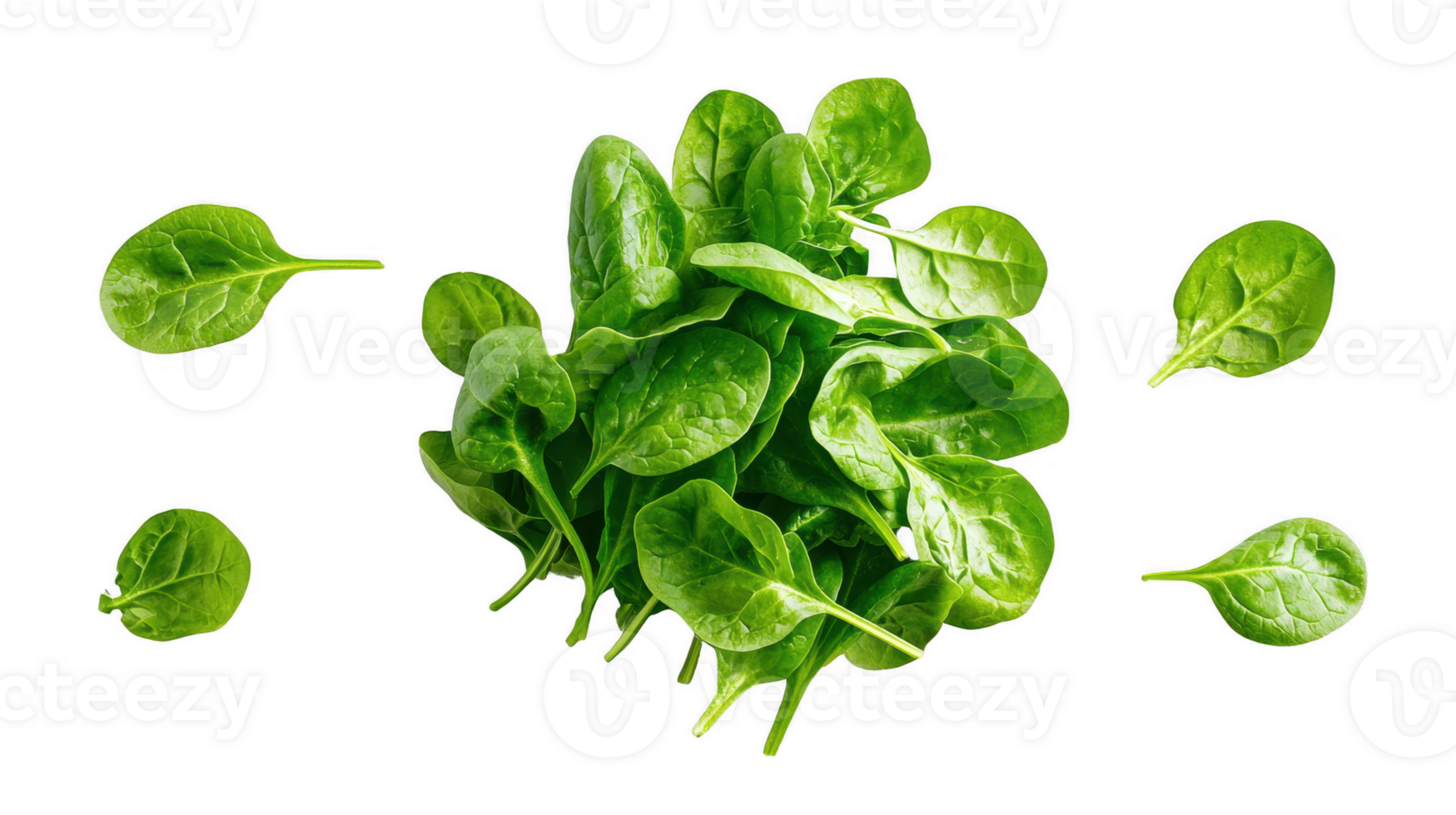 Fresh Green Spinach Leaves Isolated on Transparent Background png