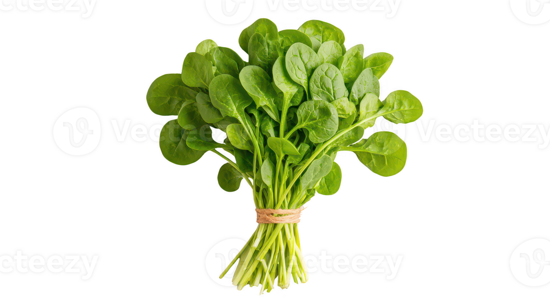 Fresh Green Watercress Bunch Isolated on Transparent Background png