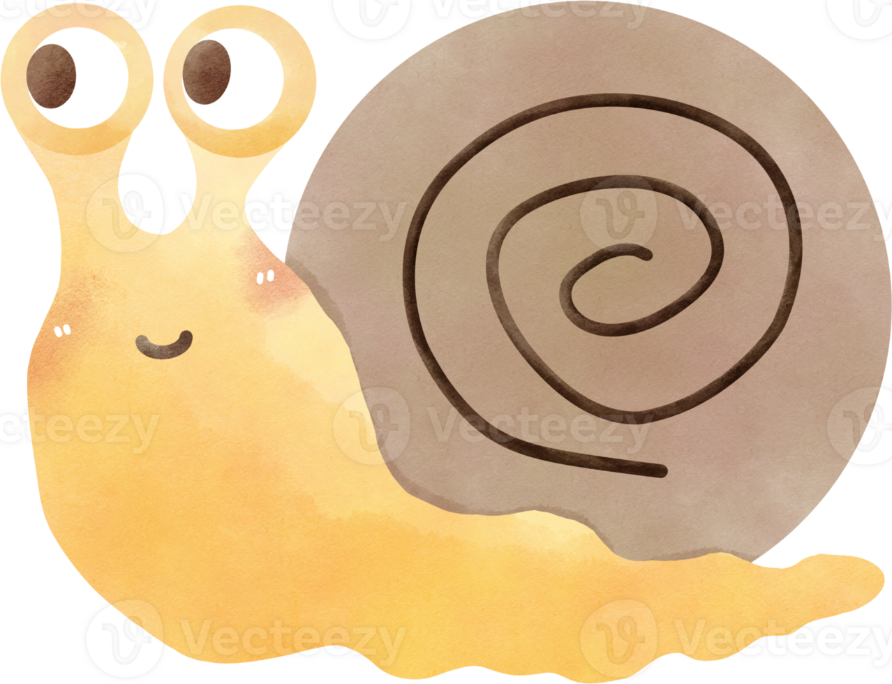 Snail is a small, slow-moving mollusk with a soft body png