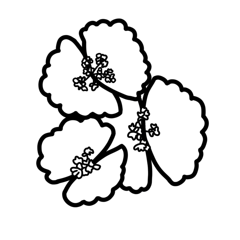 crasulla black leaves png