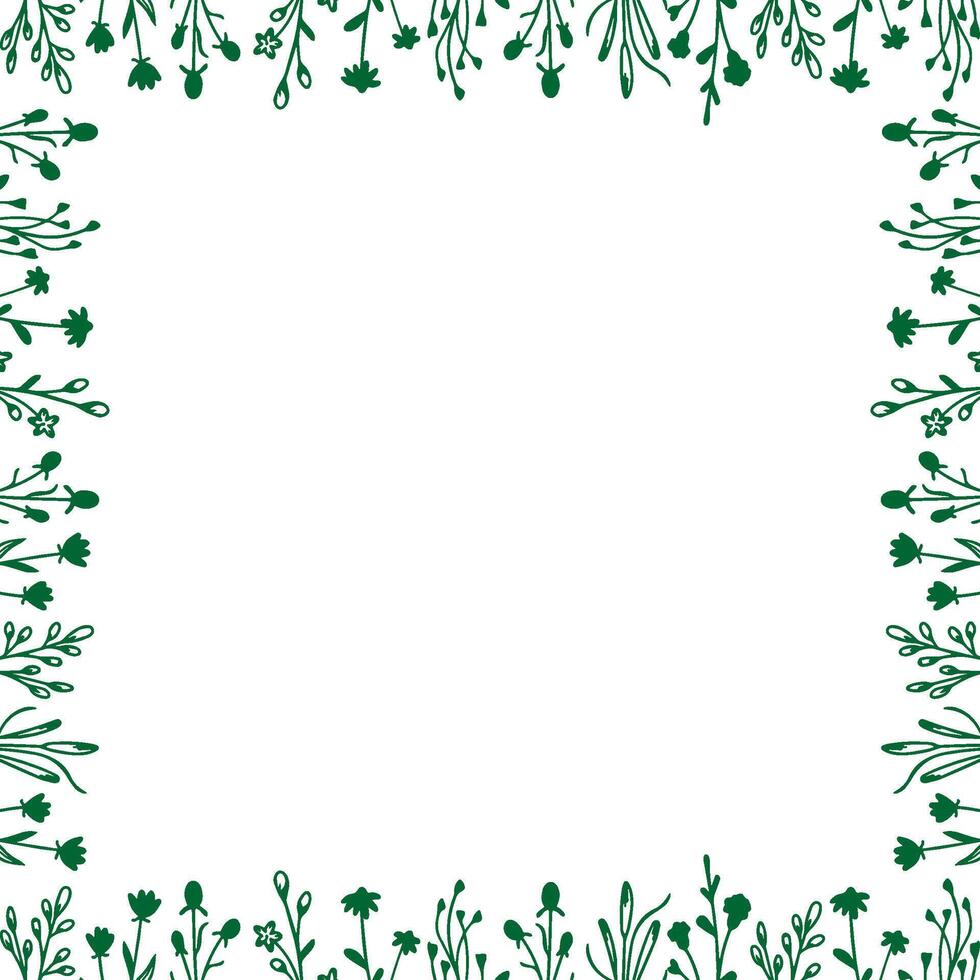 Summer meadow frame. Trendy botany graphic template. Grass empty frame box vector
