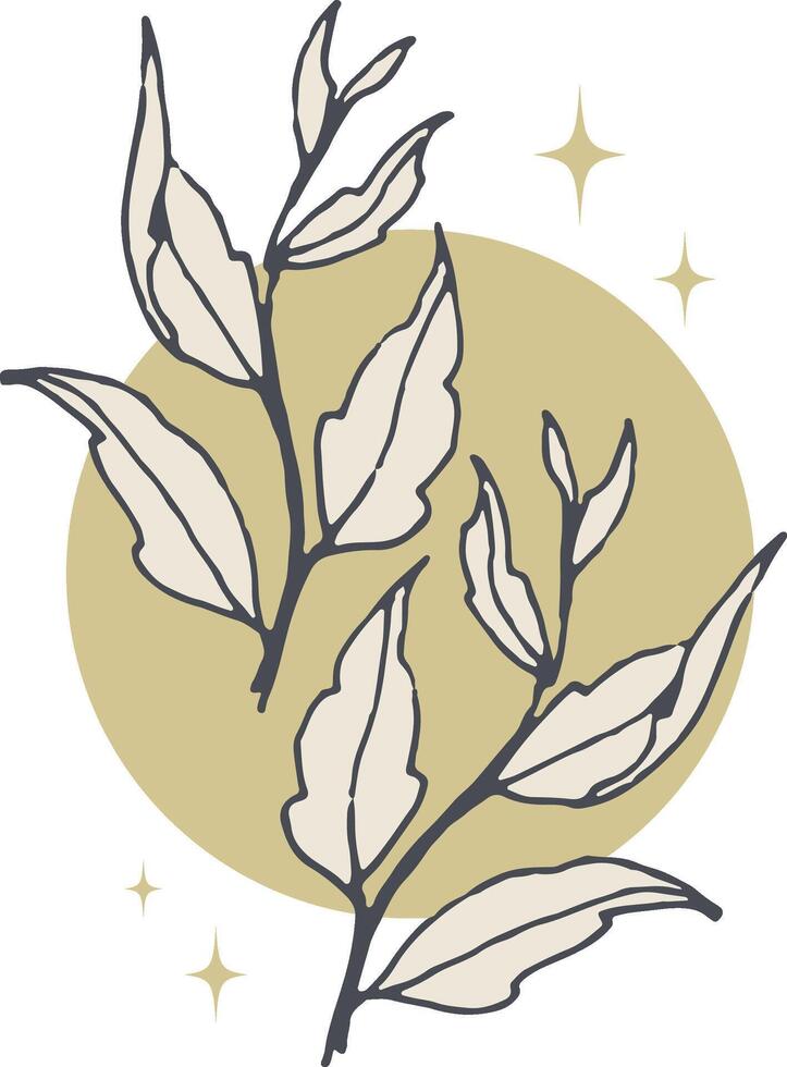 Hand drawn of mystic branches. Herbs silhouettes isolated on white background vector