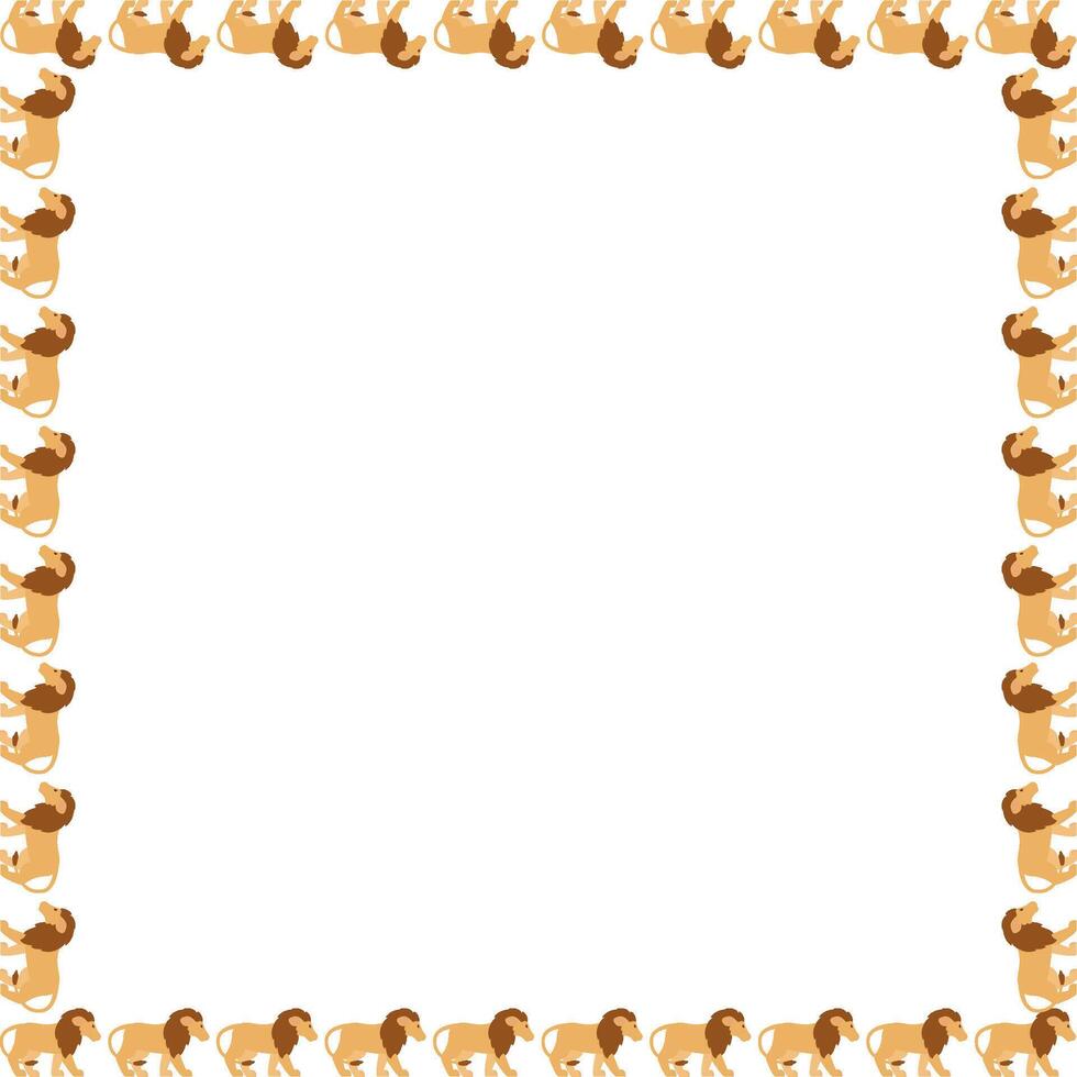 African lion frame. Savannah lion. Wildlife animal on white background border with empty space vector