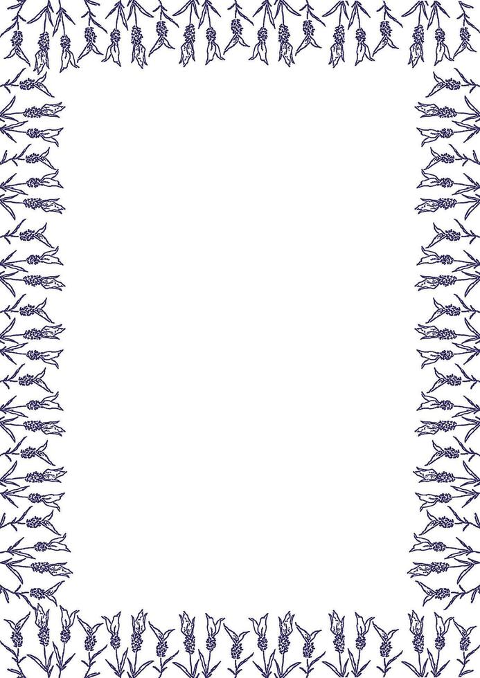 Violet lavender frame. Trendy botany graphic template. Flowers sketch empty frame box vector