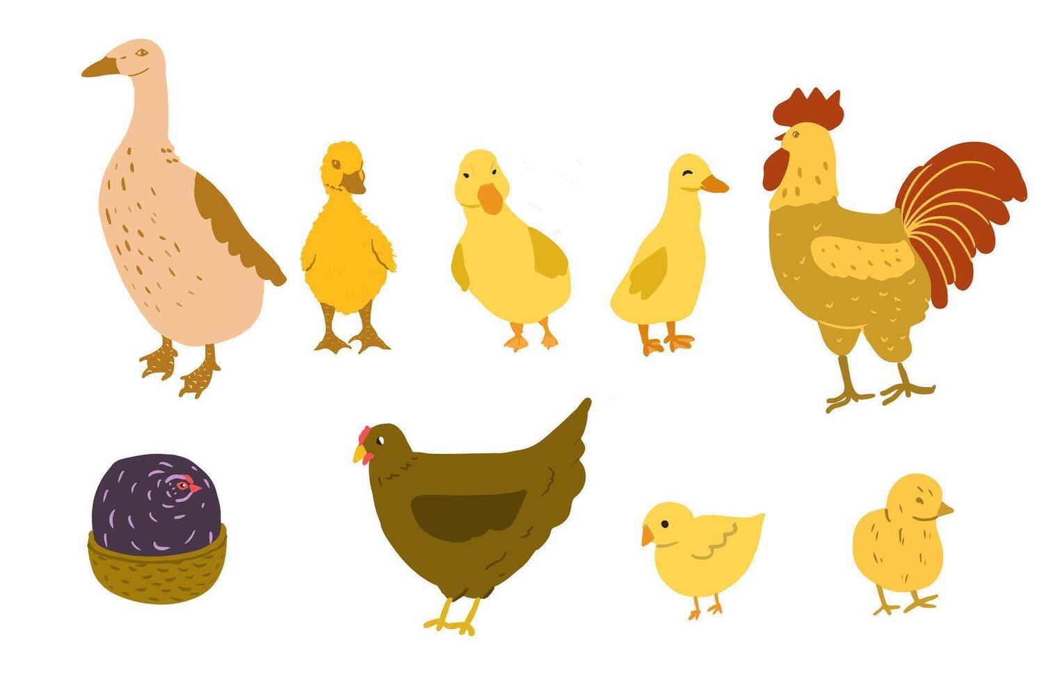 Duck, duckling, chicken, hen and rooster. Cute poultry farm characters, cartoon chick with baby duck isolated. vector