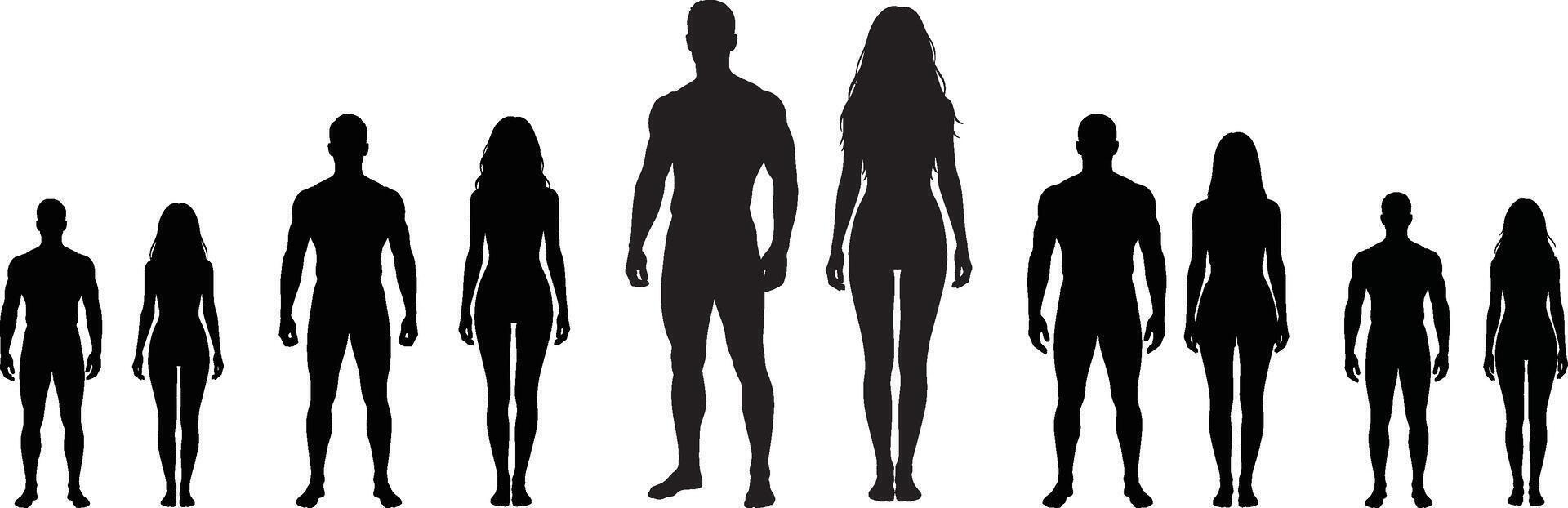 Silhouetted human figures standing in a line on white background vector