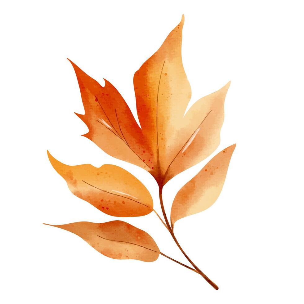 Single autumn leaf in watercolor. Isolated hand drawn fall foliage illustration for print and digital use vector