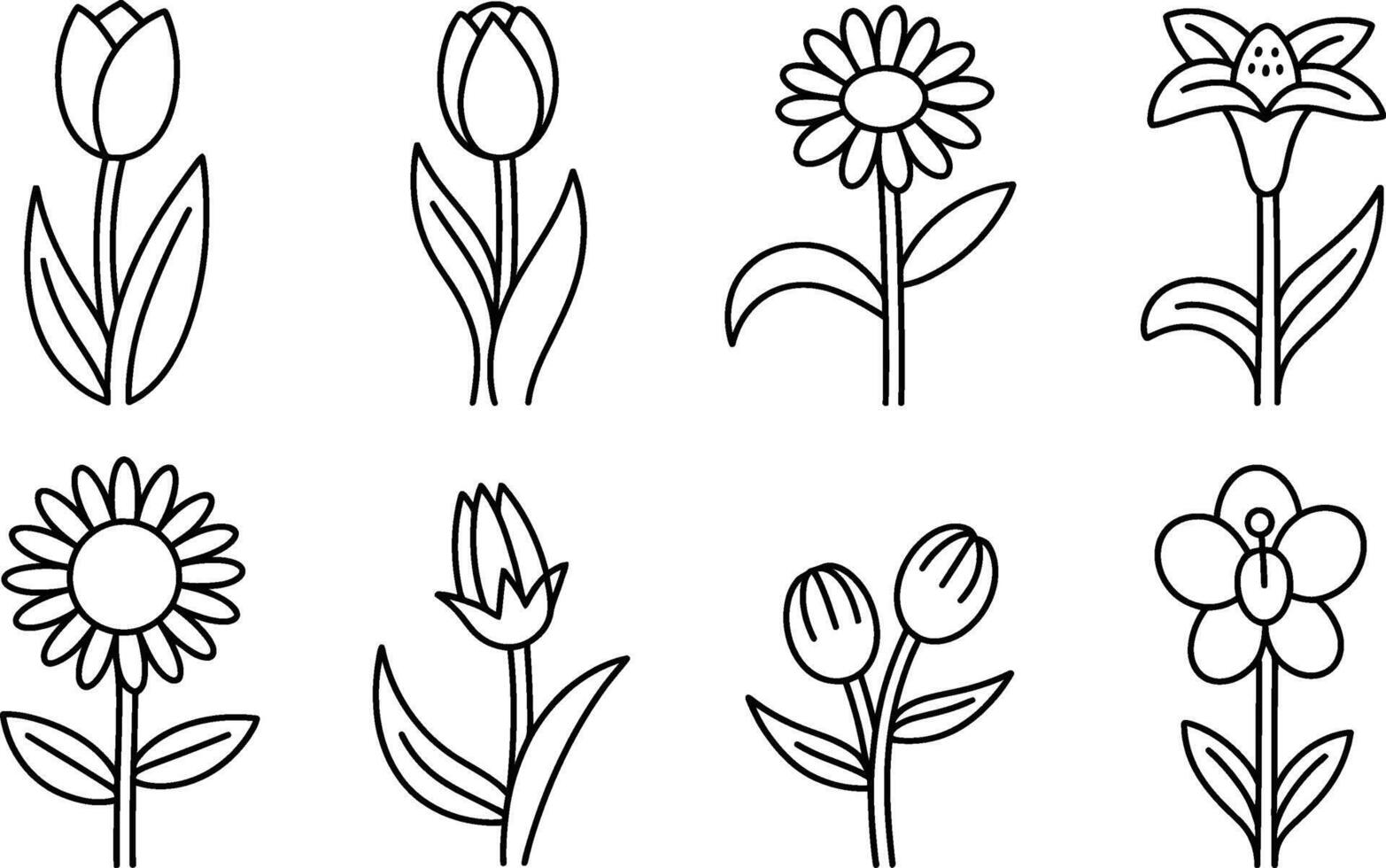 Simple black and white line art illustration of various flower species vector