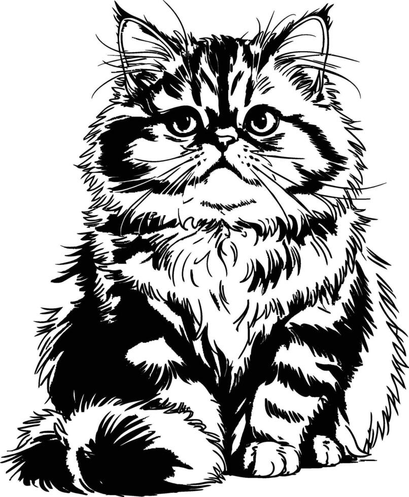 Monochrome illustration of a fluffy persian cat sitting adorable feline friend vector