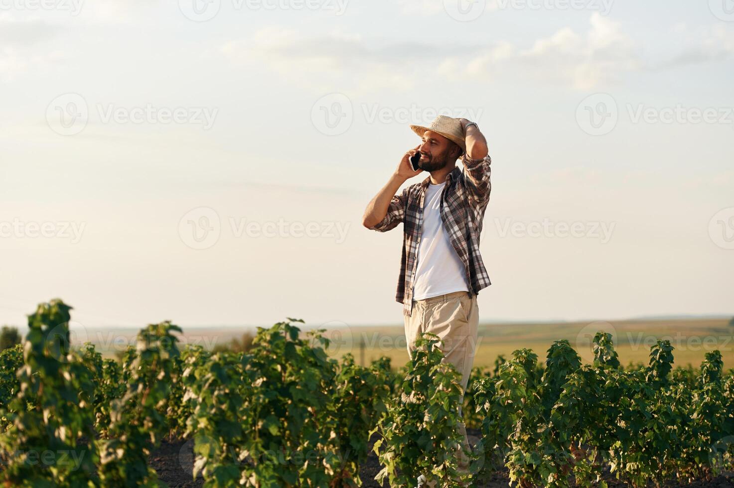 Talking by, a phone. Farmer is on the agricultural field photo