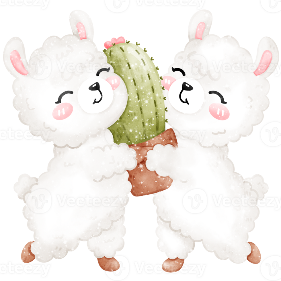 Cute llama and alpaca hugging cactus in watercolor style png