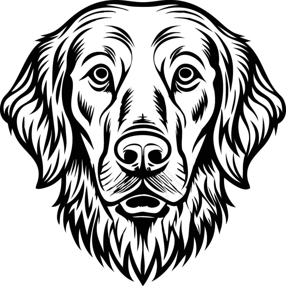 Golden retriever dog head vector