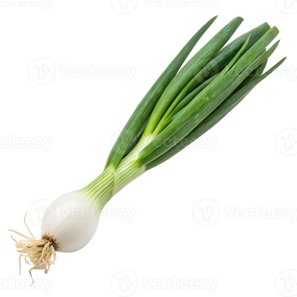 Fresh Green Onions with White Bulb and Roots a Vibrant and Healthy Vegetable png