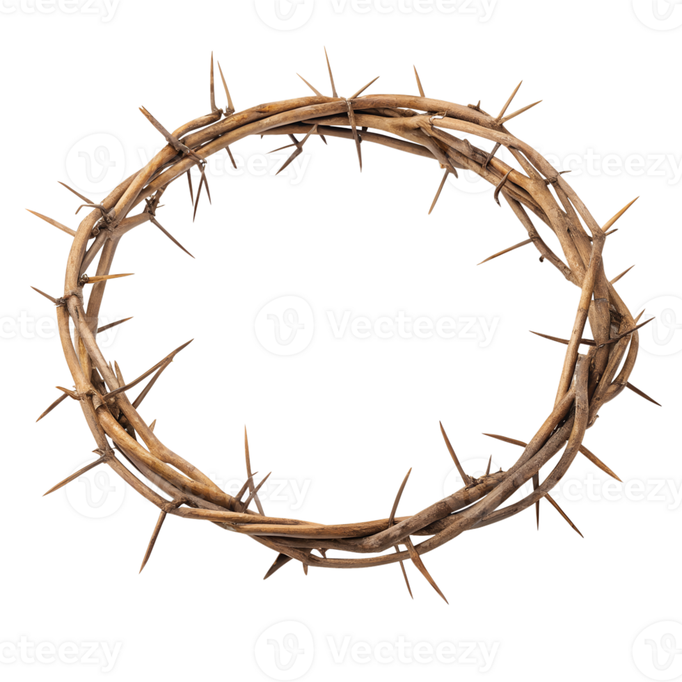 A Detailed Image of a Crown of Thorns a Symbol of Jesus Christs Sacrifice and Suffering png