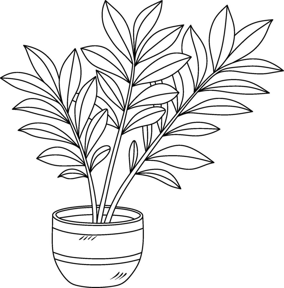 outline illustration drawings of coloured indoor plant in a flowerpot isolated on a white background. Zamioculcas Plant vector