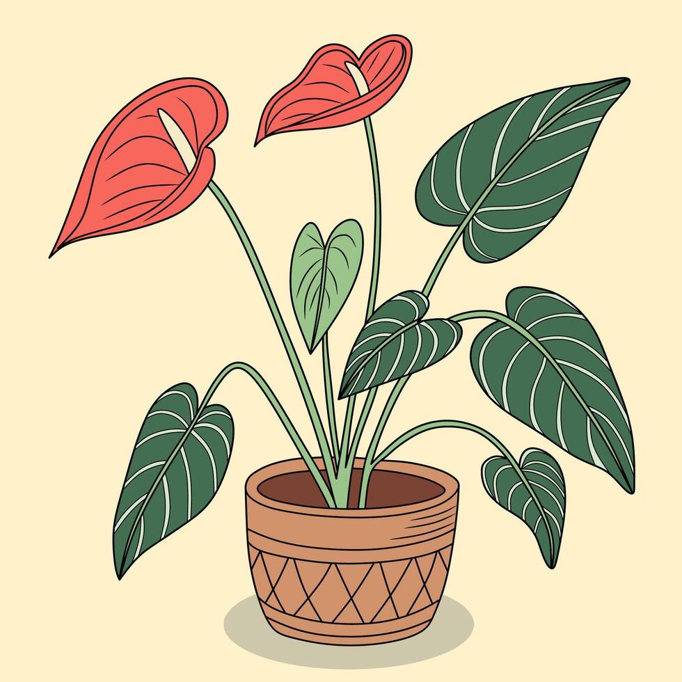 Illustration of a potted anthurium plant featuring vibrant red flowers with yellow spadices and large, green leaves vector