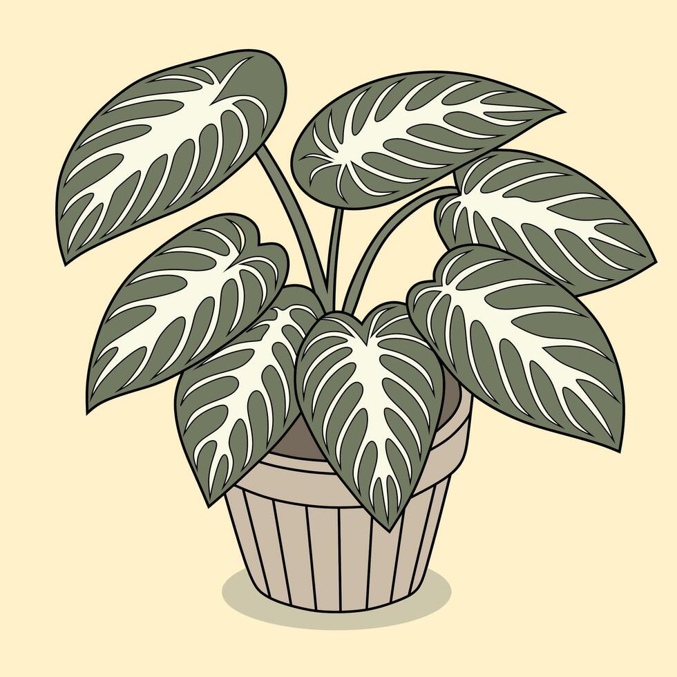 Anubias Plant in Decorative Pot Illustration vector
