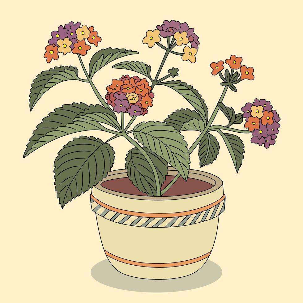 Lantana Bloom Flower Botanical Drawing Line Art Illustration vector