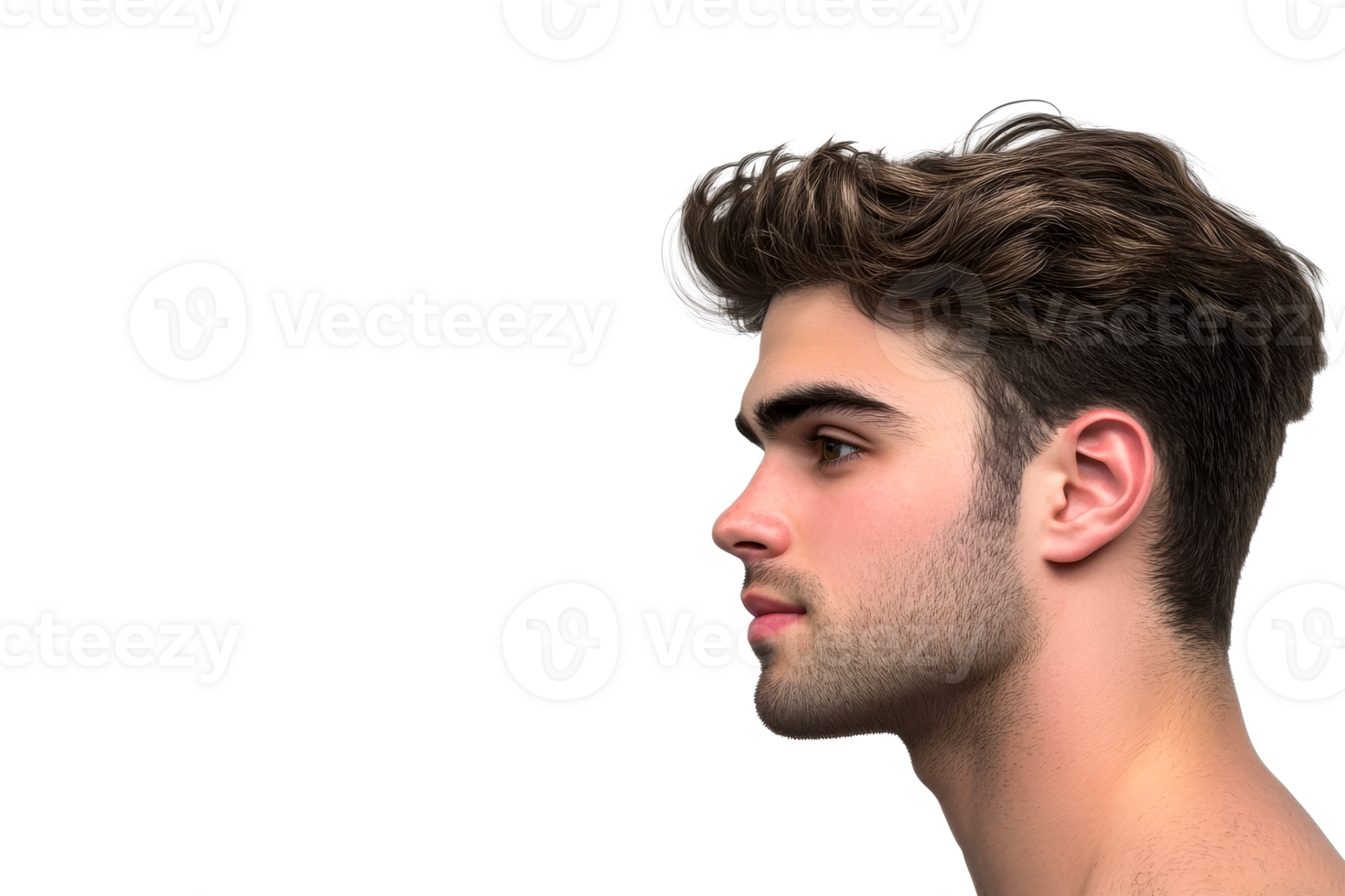Profile portrait of attractive man, hair style, looking left, cut out transparent png