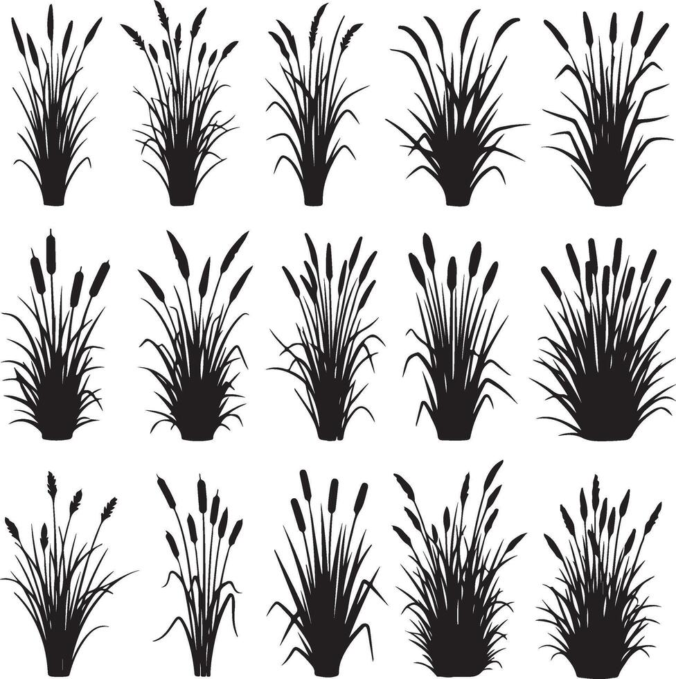 Set of twelve black silhouettes of various types of grass and reeds. vector