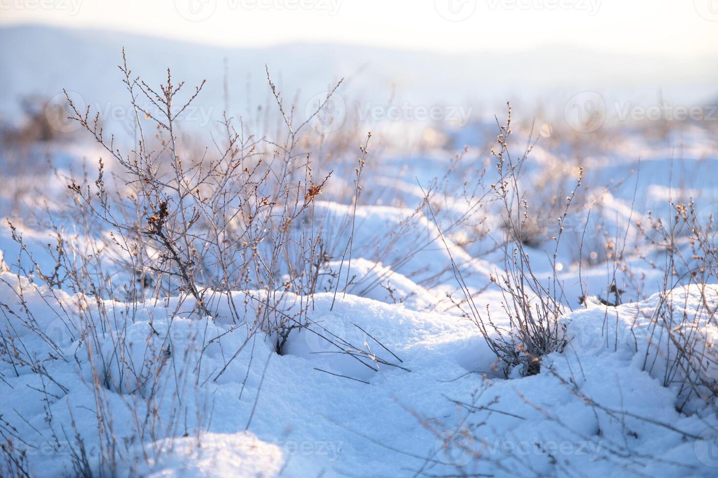 Winter landscape with snow and grass photo
