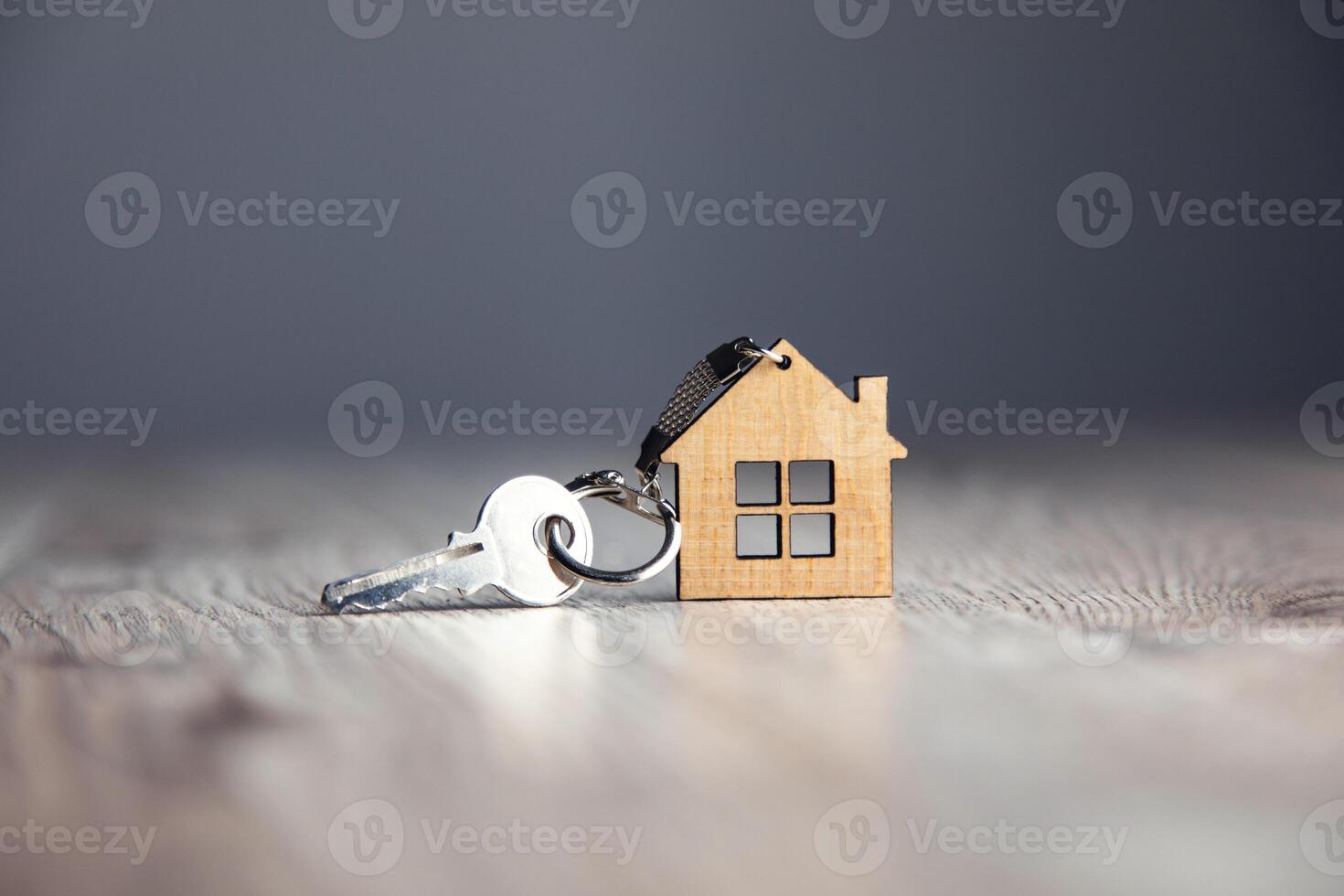 A house keychain with a house on it photo