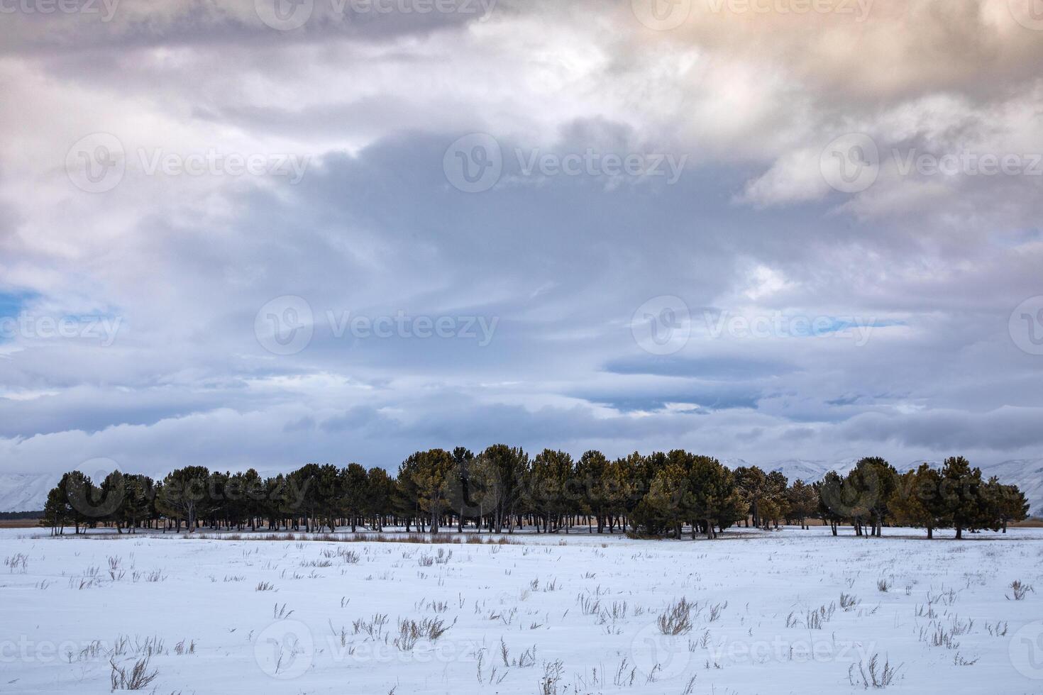 A snow covered field with trees and a sky photo