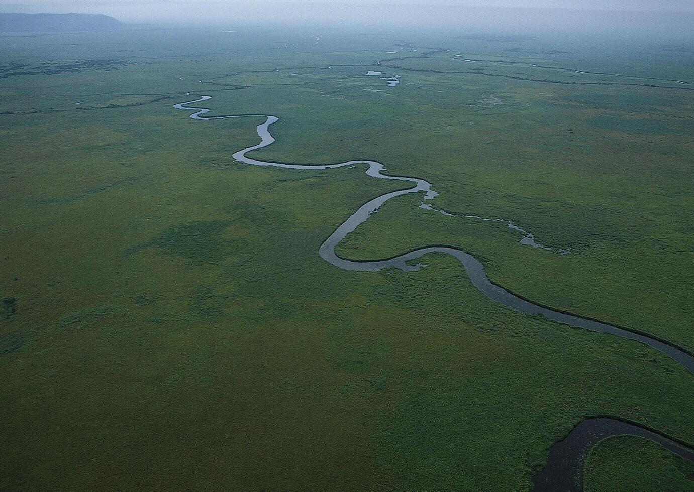 an aerial view of a river flowing through a green field photo