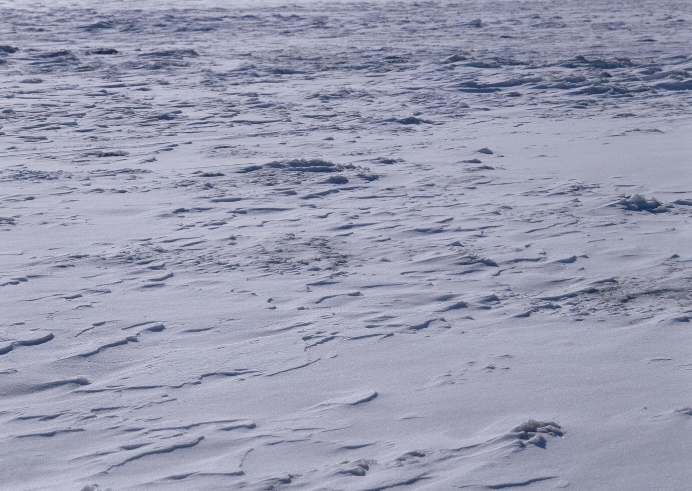 a person walking on a snowy field photo
