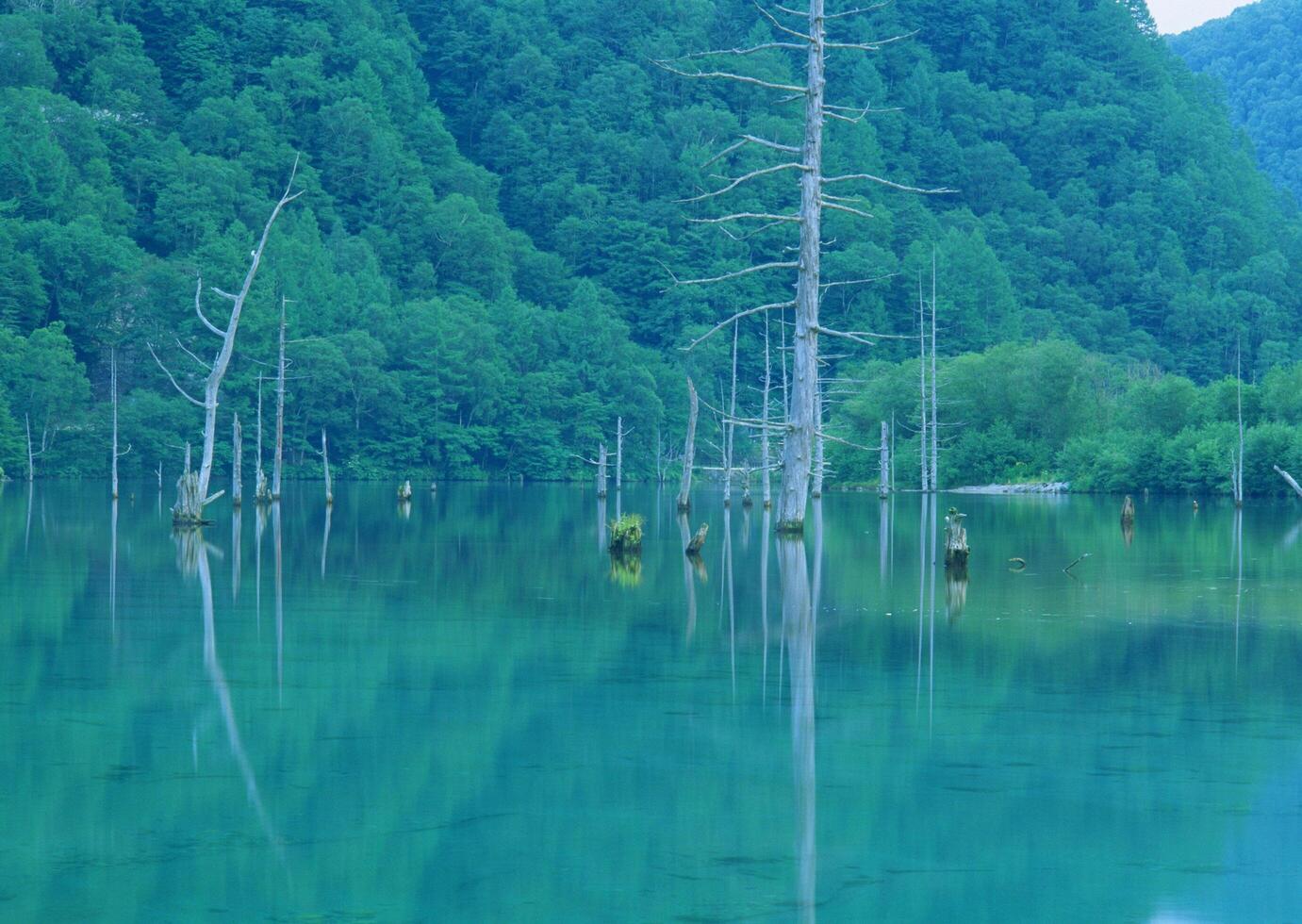 a lake with trees and mountains in the background photo
