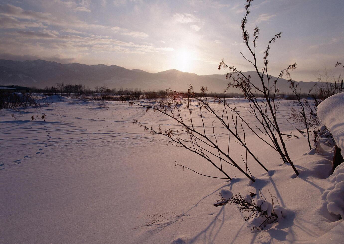 a snow covered field with a sun setting behind it photo