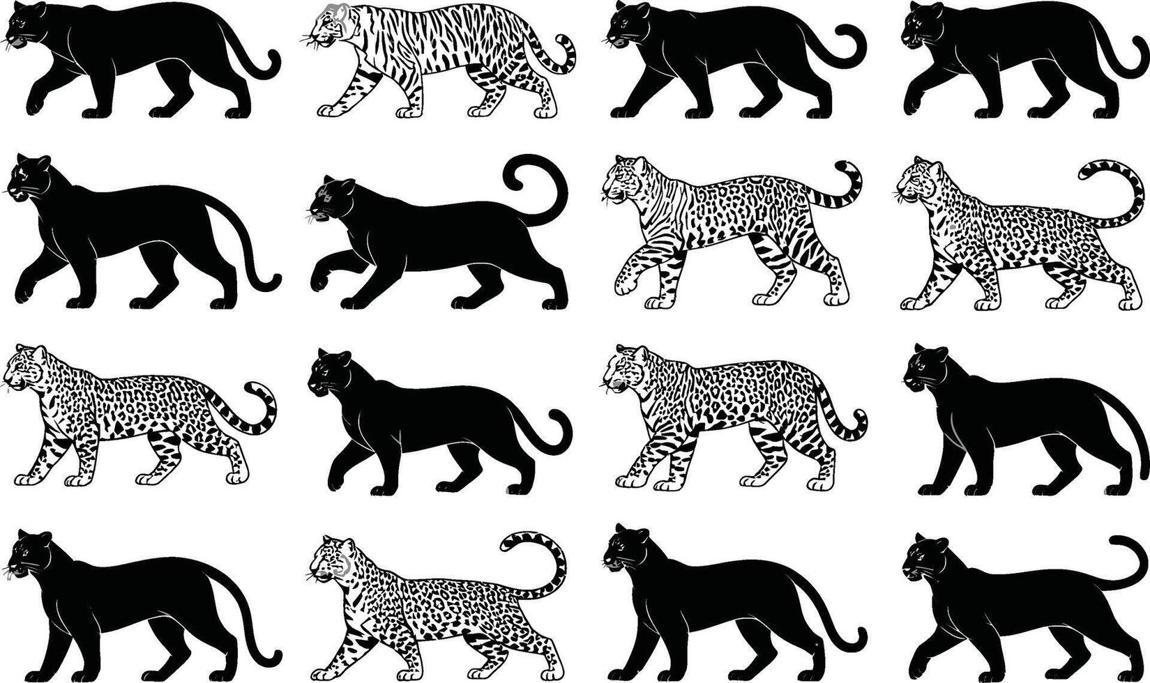 Detailed black and white illustrations of various big cats walking including panthers tigers and leopards against a clean background vector