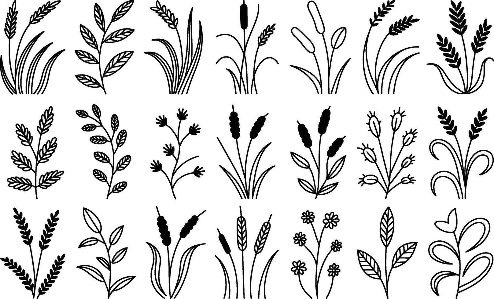 Hand drawn illustration featuring a collection of various botanical elements including grass leaves flowers and other floral designs vector