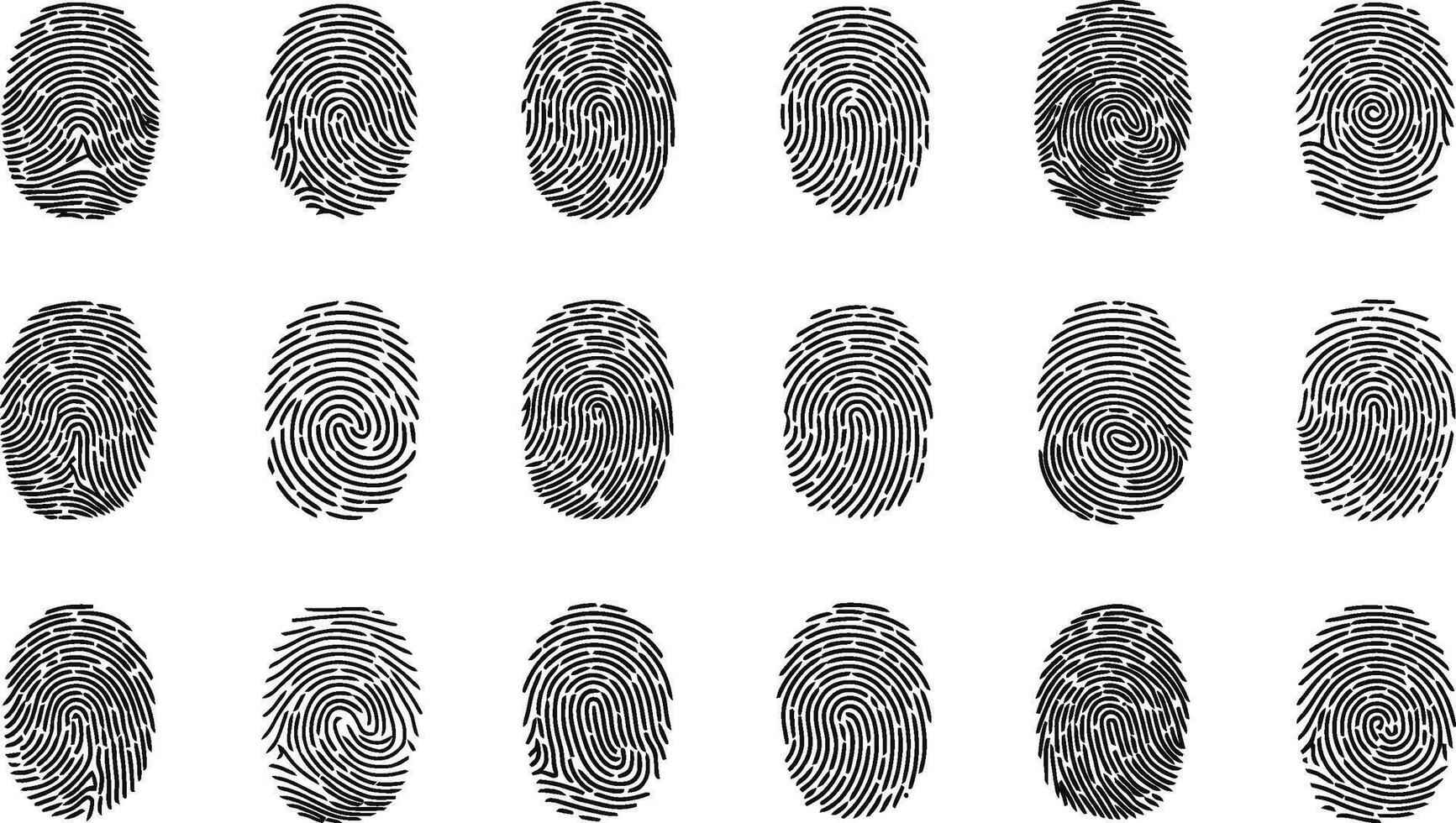 A collection of various black and white fingerprint illustrations representing forensic science investigation and security features on a white background vector